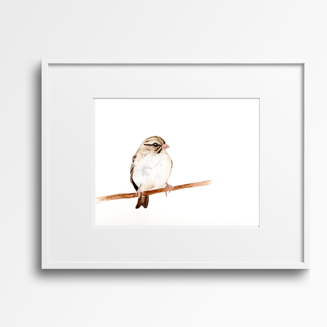 Song Sparrow- Watercolor 9" x 12" Print