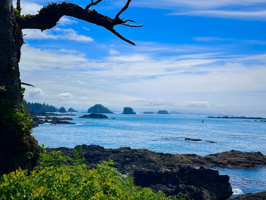 Tofino British Columbia