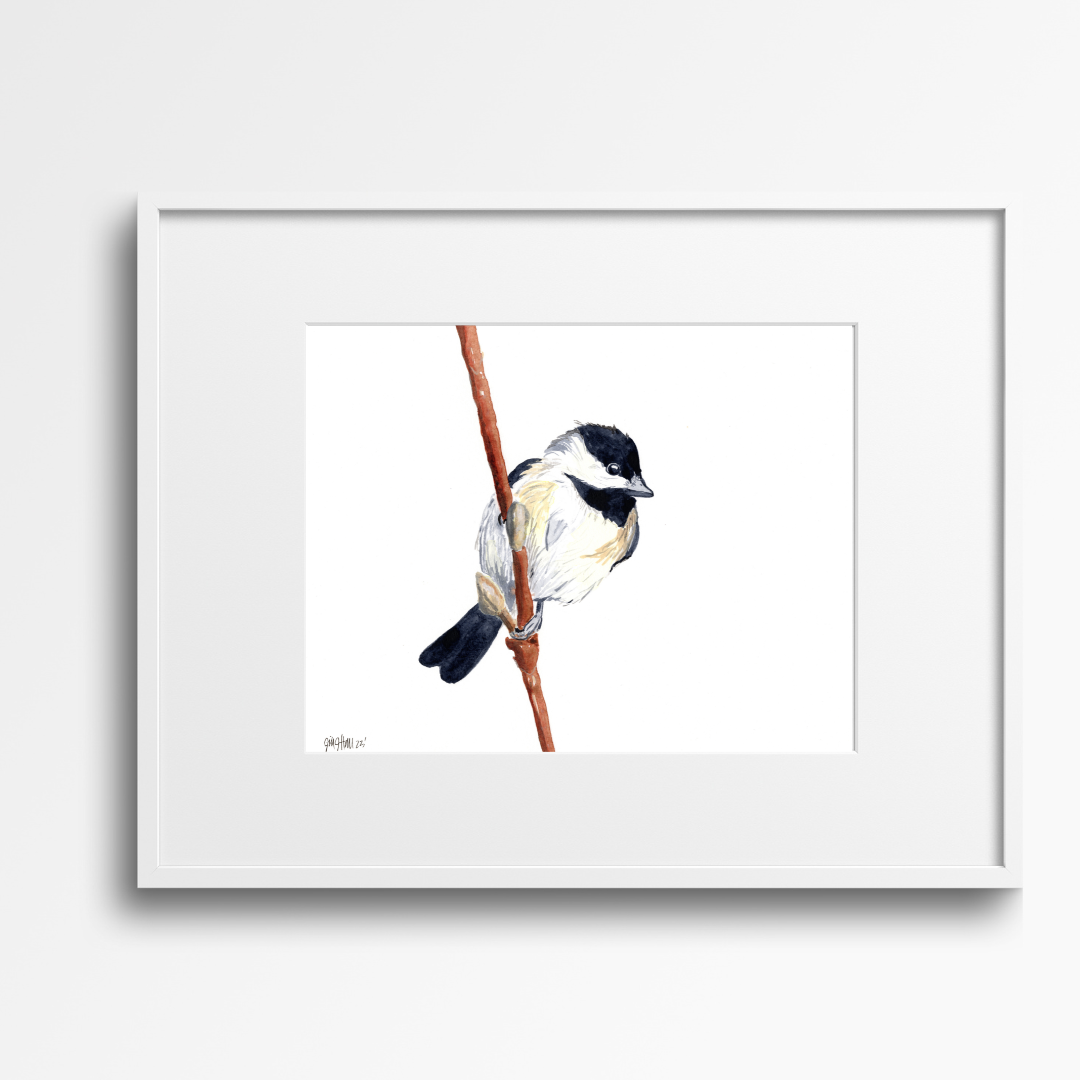 Black Capped Chickadee- Watercolor 9" x 12" Print