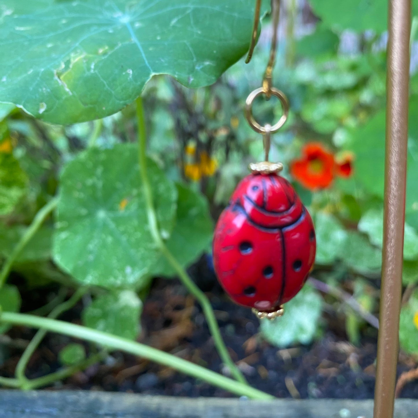 Lady Bug Earrings
