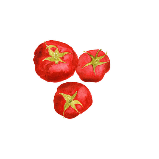 'You say Tomato' - Original Watercolor