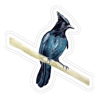 Sticker - Steller Jay on long branch