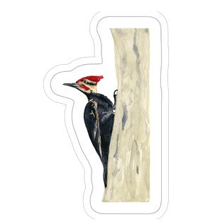 Sticker - Pileated Woodpecker